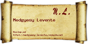 Medgyesy Levente névjegykártya