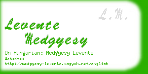 levente medgyesy business card